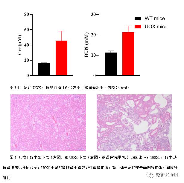 1705482063998465.jpg 圖片2.jpg