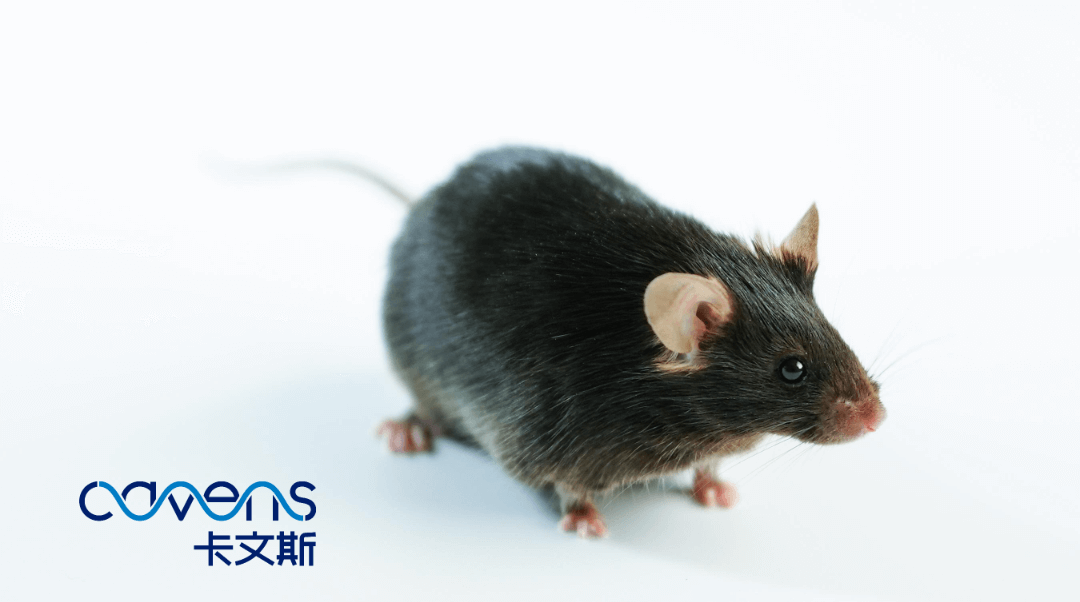 1708492465770149.png 10.png