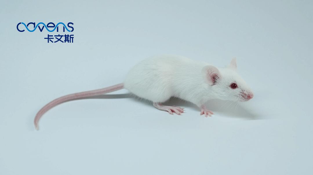 1708492513189474.png 102.png